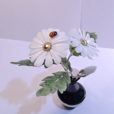 Chamomile and a ladybird (4)