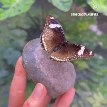 #камнидлямудрости #обработкакамней #инстаграмкристаллы #минералыдлядома #кристаллылюбовь
