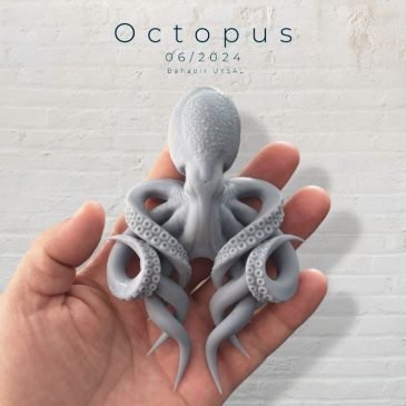 Octopus sculpt