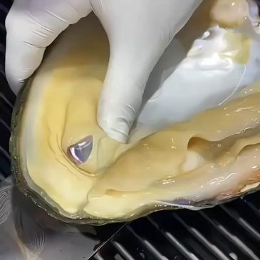 This is how a beautiful pearl was brewed